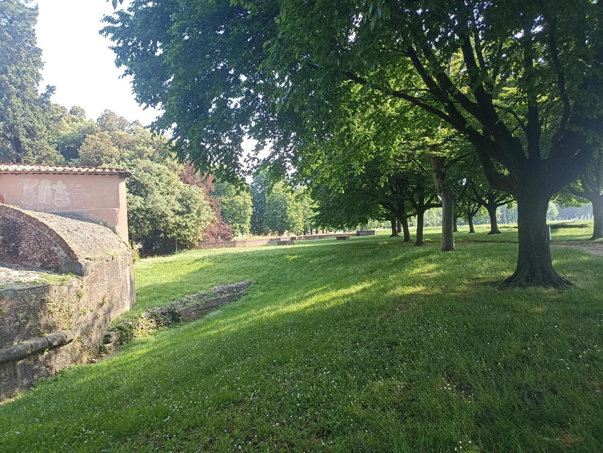 הוילה Gem In The City Center Of Lucca With Air Conditioning - Exclusive Ground Floor House Inside The Walls Close To Botanical Garden And Piazza San Martino מראה חיצוני תמונה